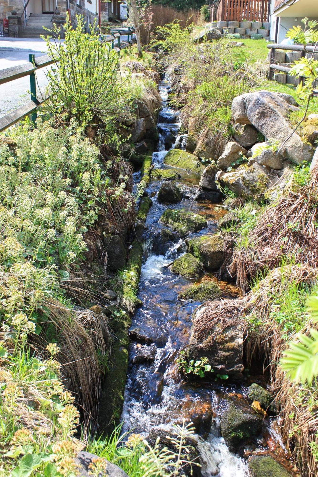 Ferienanlage Zum Wildbach شيارك المظهر الخارجي الصورة